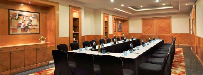 308/Park Plaza - Gurgaon 04.jpg